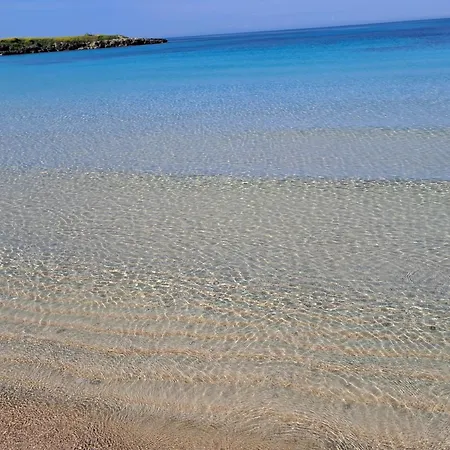 Romana *